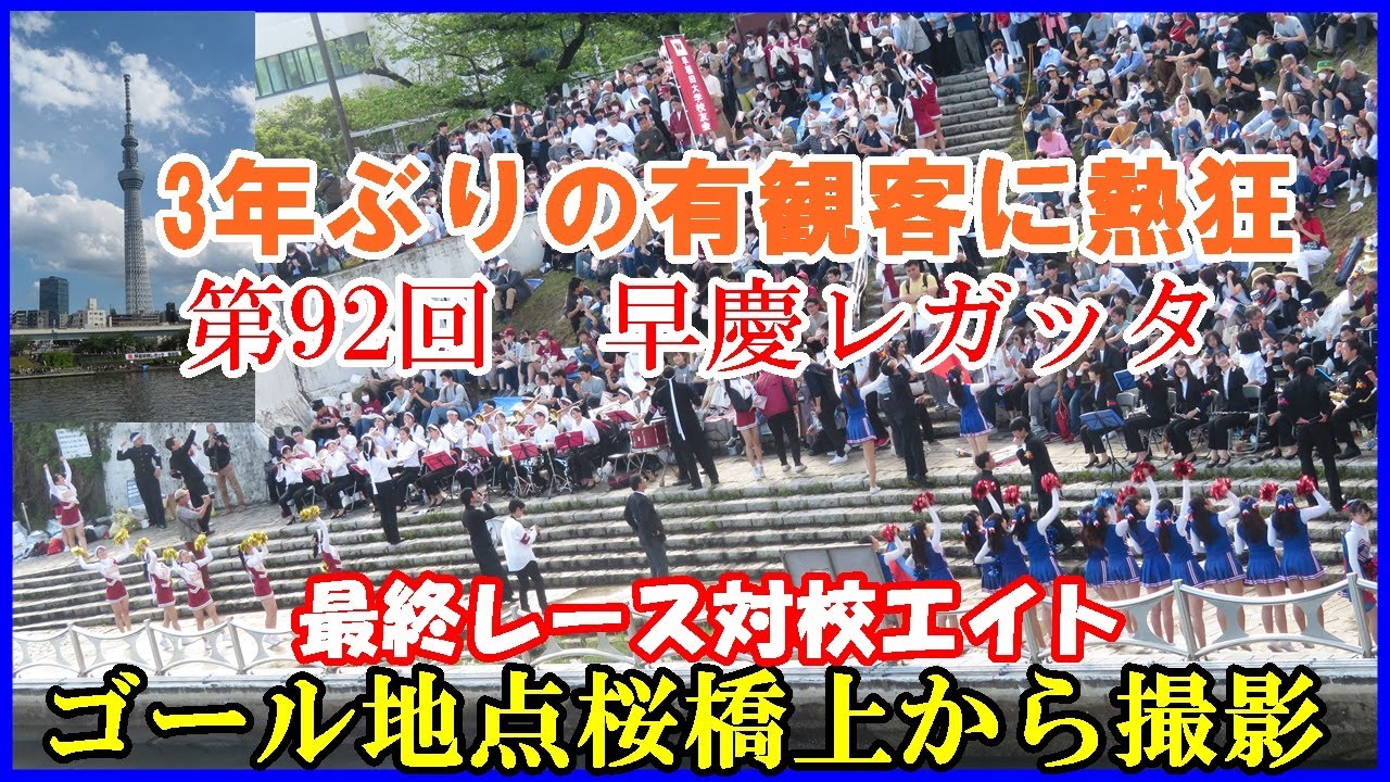 【早慶レガッタ】対校エイト慶應が優勝！桜橋からレースと応援席を撮影2023.4.16(日）#早稲田大学#慶應義塾大学#早慶レガッタ