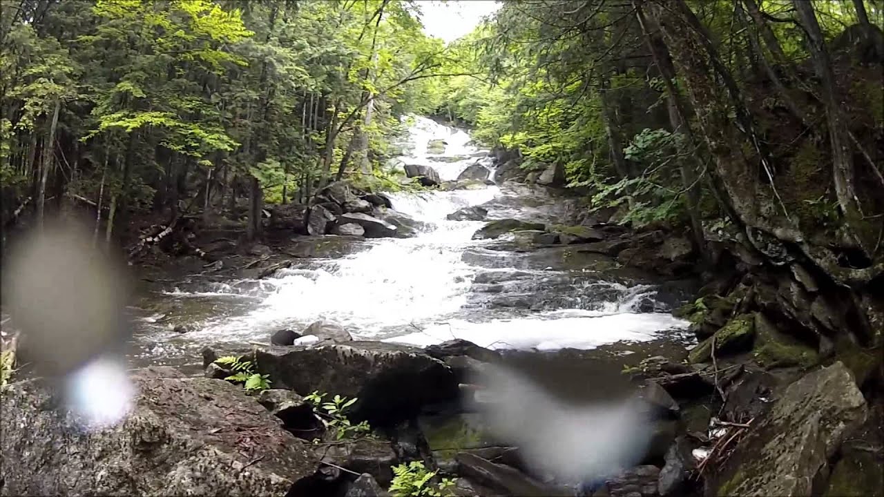NEKCanoeist Visits Molly's Falls