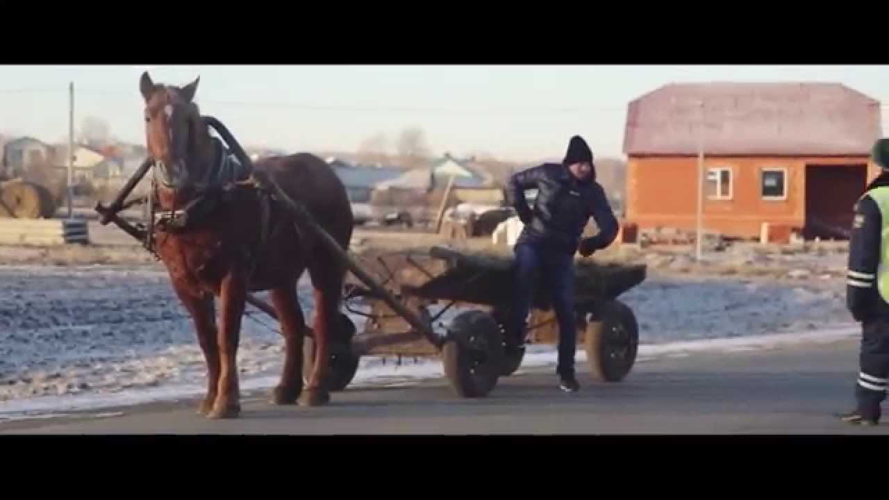 Салават Минниханов - 
