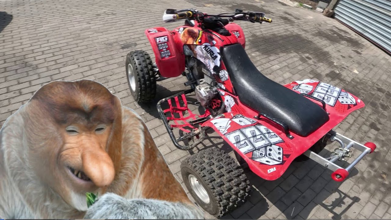 Somsiadowy Quadzisz wersja NOSACZ