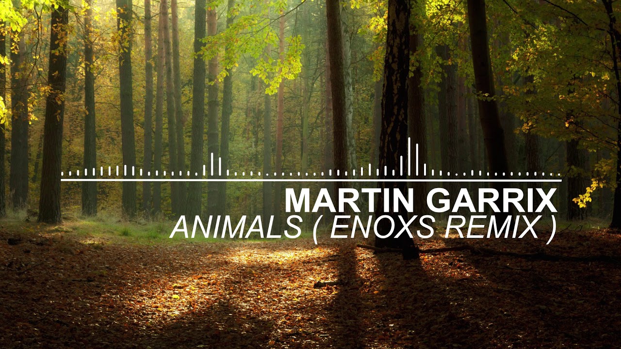 Martin Garrix - Animals (Enoxs Remix)
