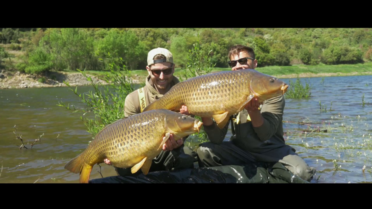 Carp Injection Part 12