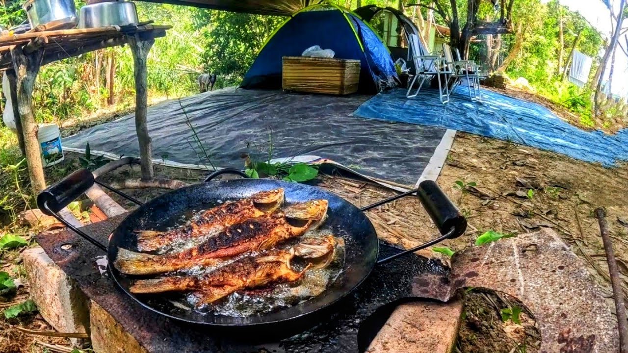 ENCONTRAMOS UM LOCAL CHEIO DE PEIXES NO MEIO DA MATA PESCAMOS E FIZEMOS PEIXE FRITO NO ACAMPAMENTO