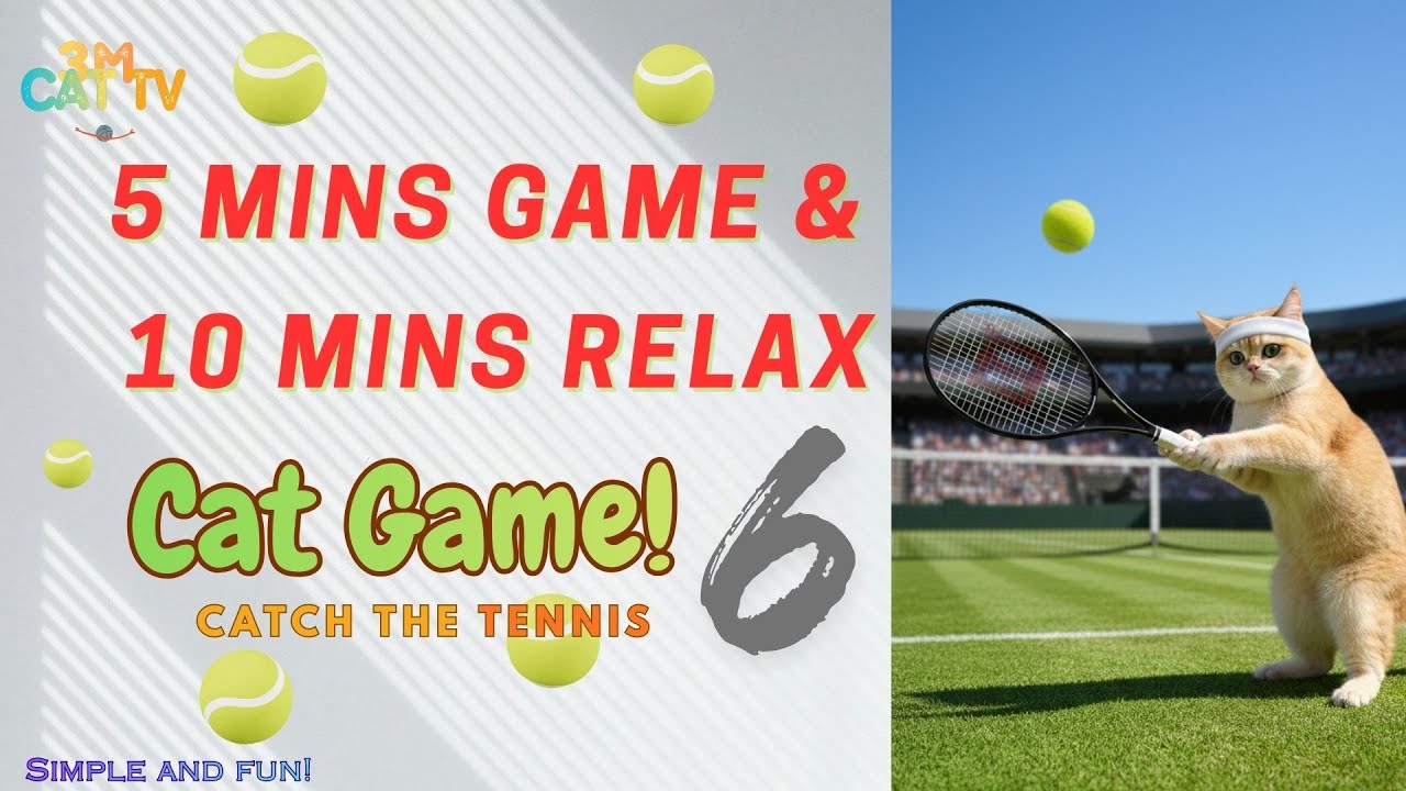 🐱🔥【Cat Game 】Tennis for cat! 5 mins game + 10 mins relax looping for 10 Hours  | 4k 60fps