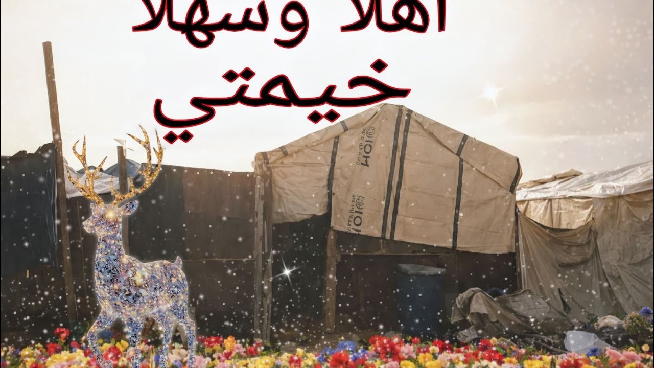 خيمتي الصغيرة هي عالمي الكبير.. شوفوا كيف رتبت حياتي فيها