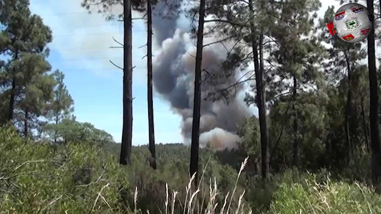 TOMAR – Anabela Freitas no primeiro balanço ao grande incêndio desta terça feira