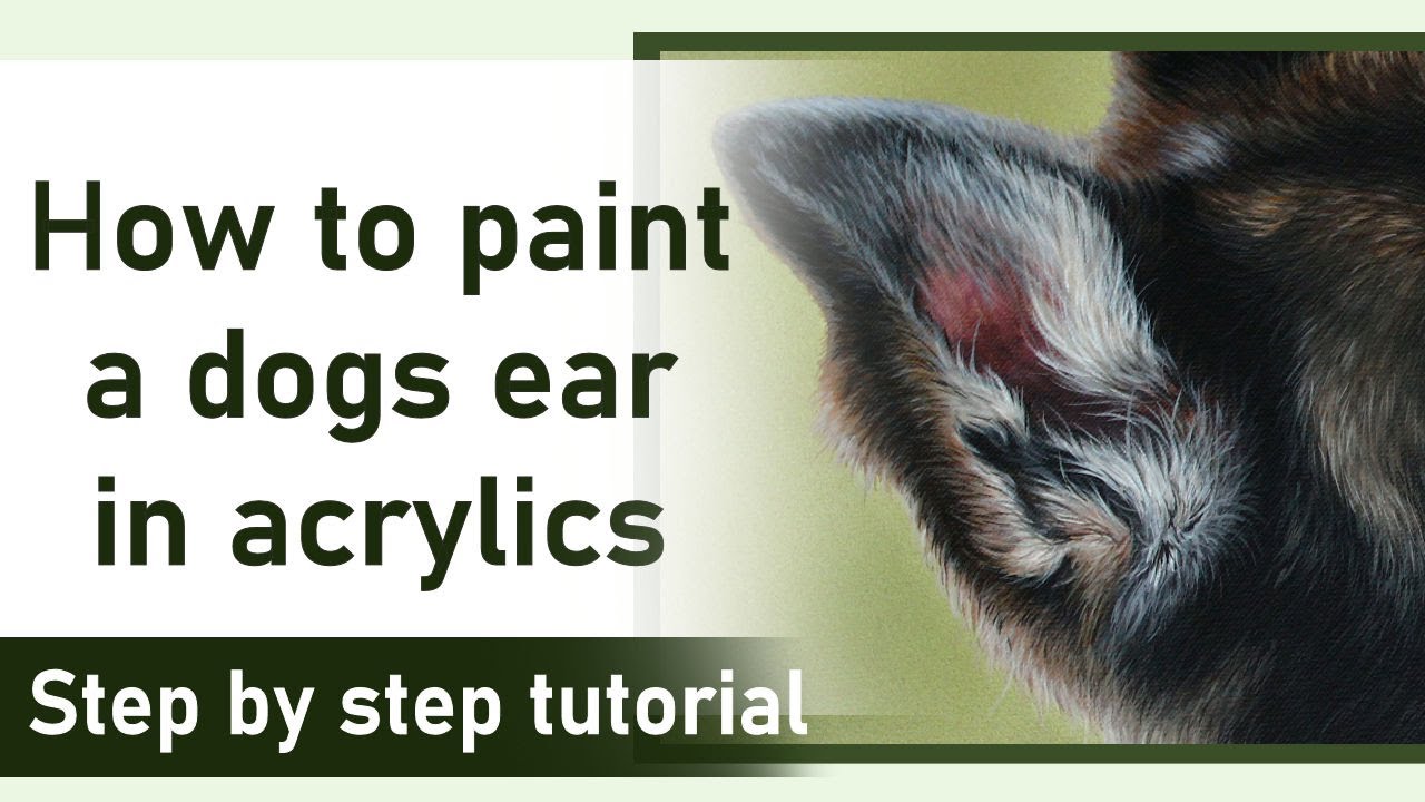 How to paint a dogs ear in acrylics | Full step by step Tutorial | Painting art tips