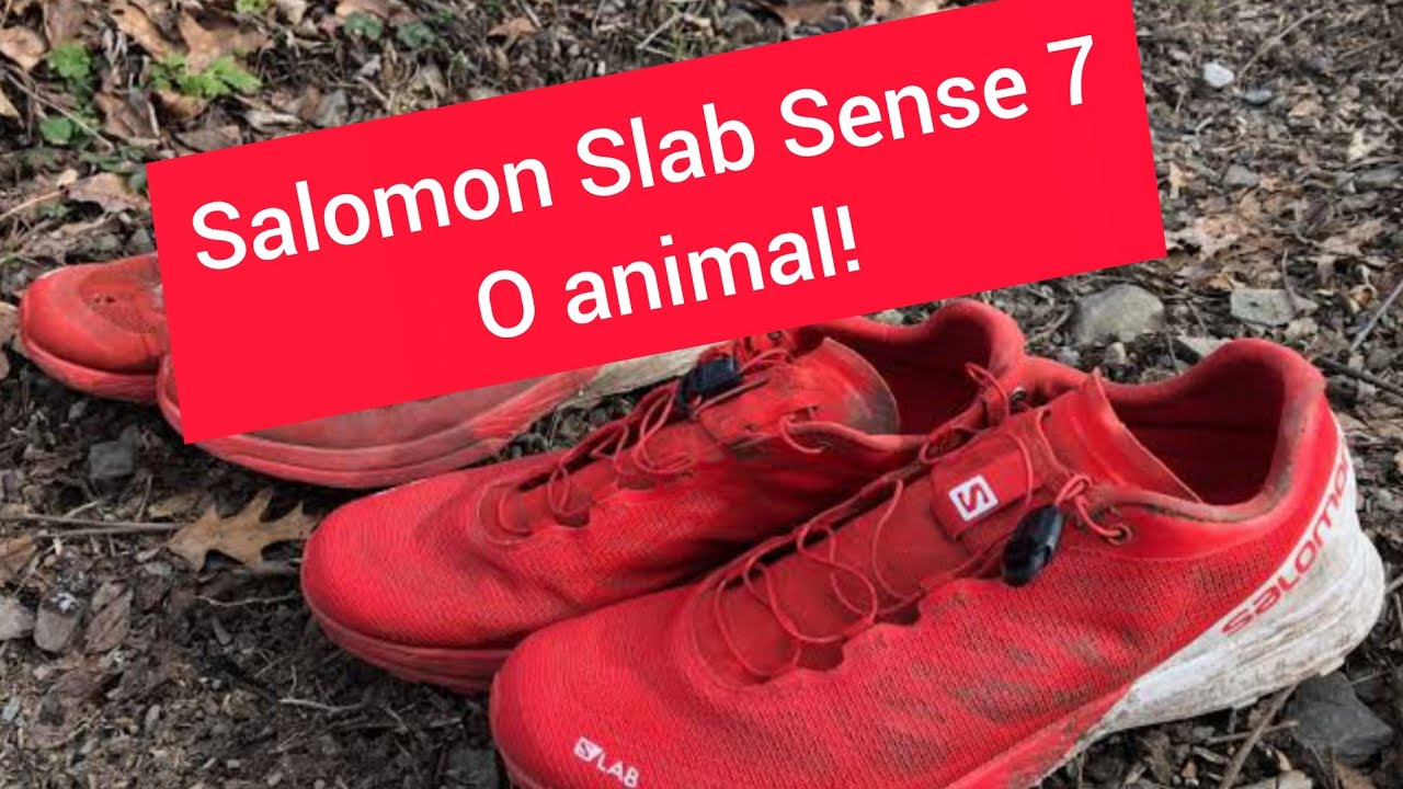 Salomon S/lab Sense 7 - O Animal