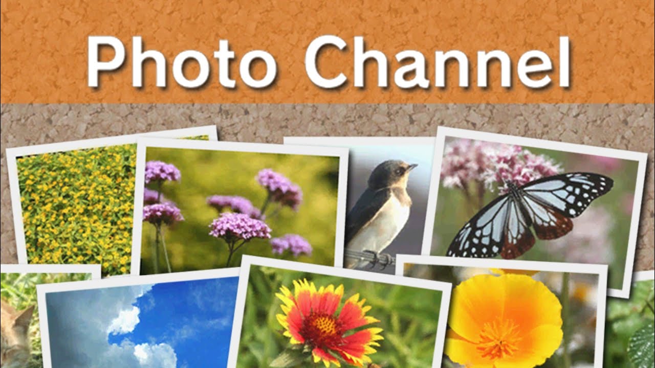 SD Card Gallery - Wii Photo Channel OST Extended