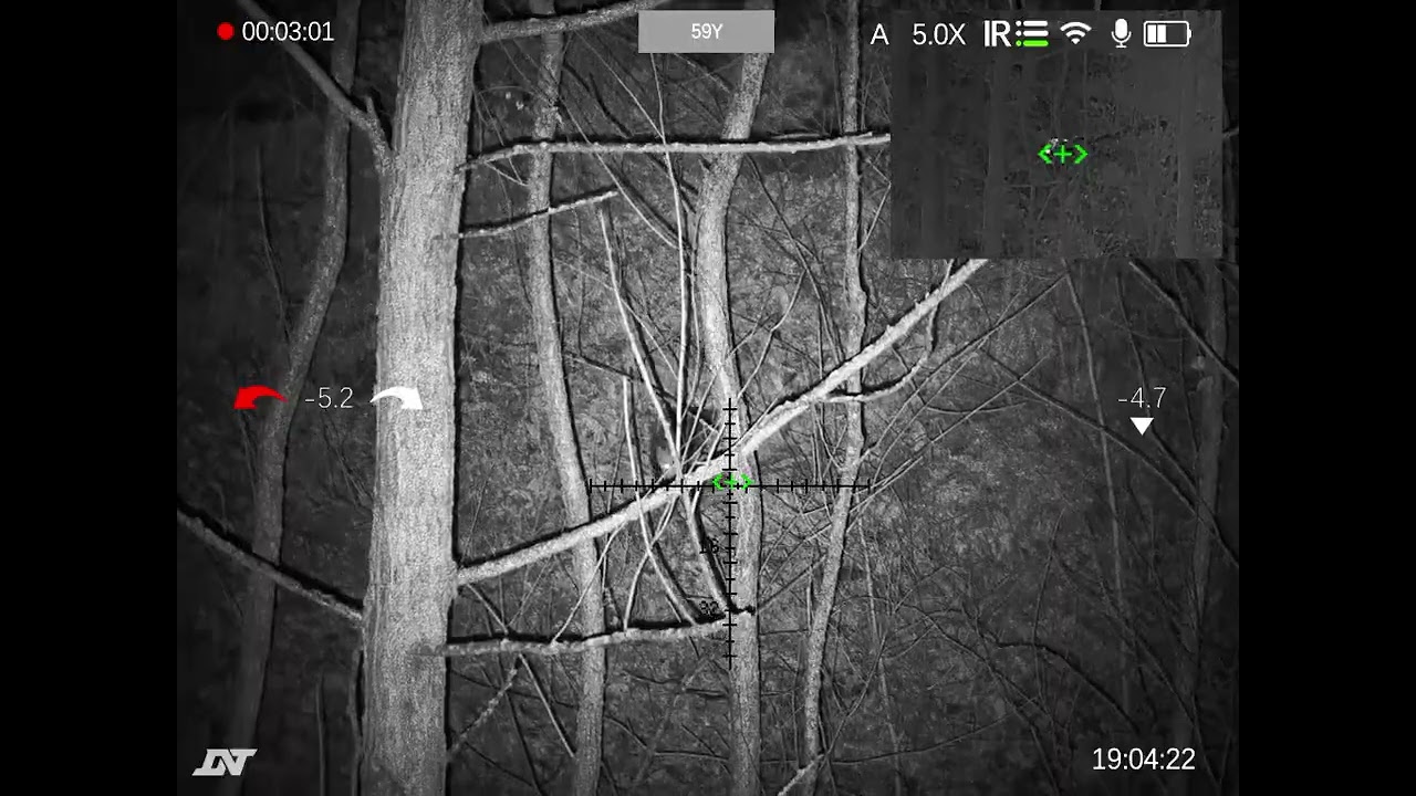 Close-Range Opossum in Heavy Timber | DNT 225R Under 75 Yards. 