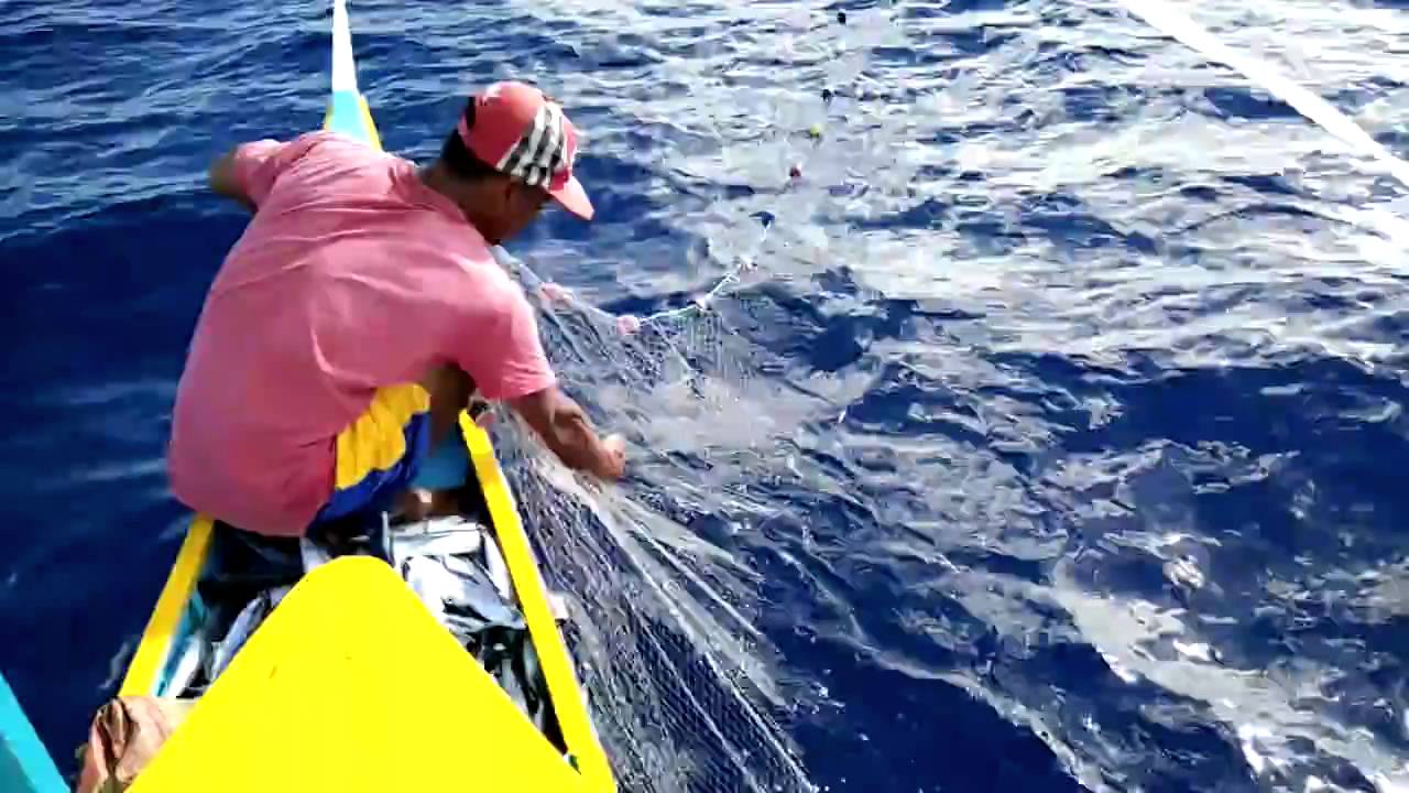 Abuleg,dinalungan,aurora fisherman captures the moment he is attacked by an angry giant blue marlin.