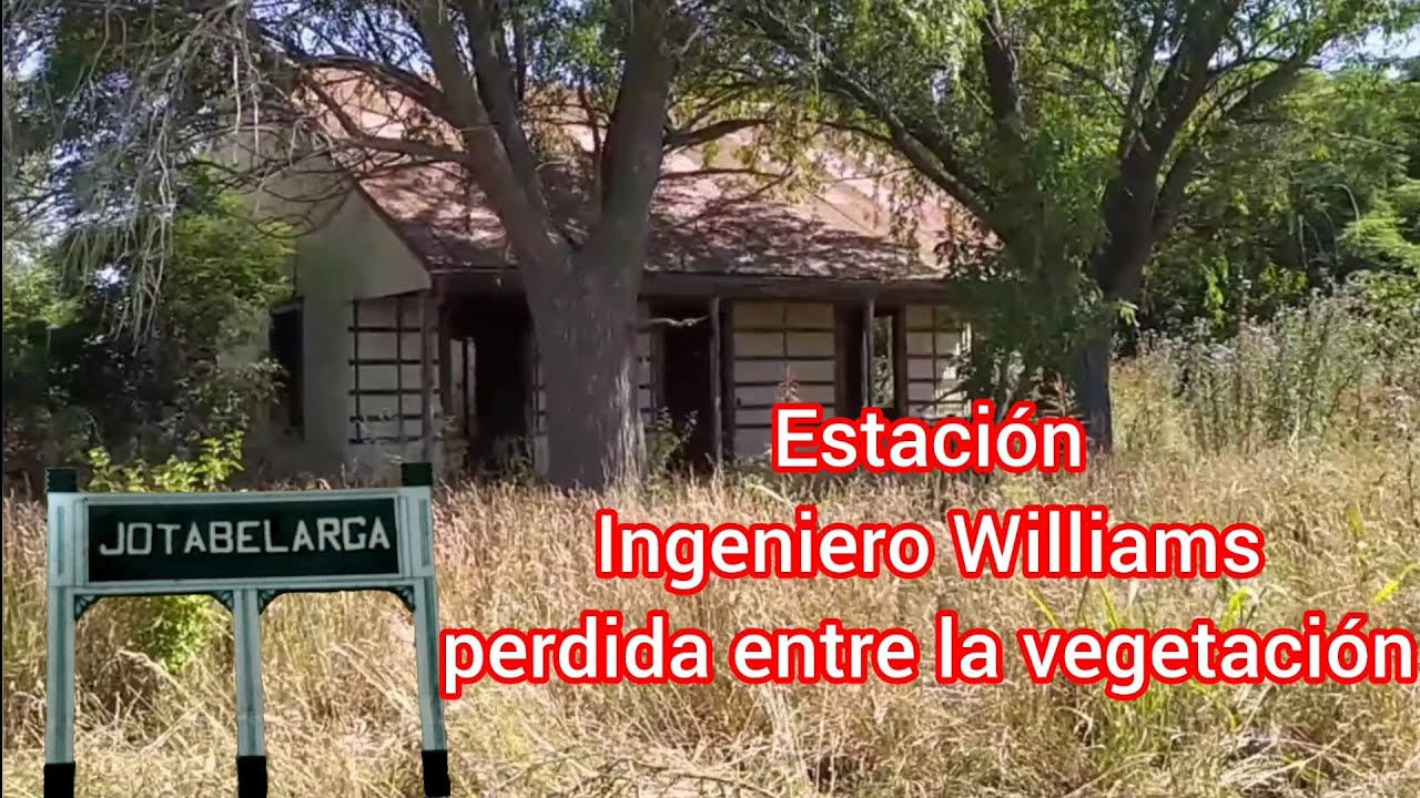 Estación de INGENIERO WILLIAMS Ferrocarril MIDLAND perdida entre la vegetación