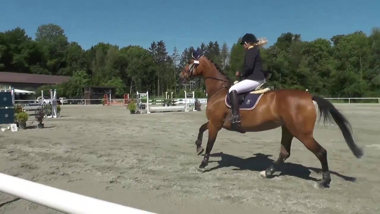 Karin mit La Conti - Sch&ouml;nborn 2016