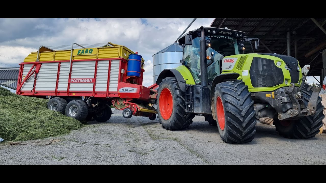Sikora  Class Axion 810 Zbieranie sianokiszonki do Silosów