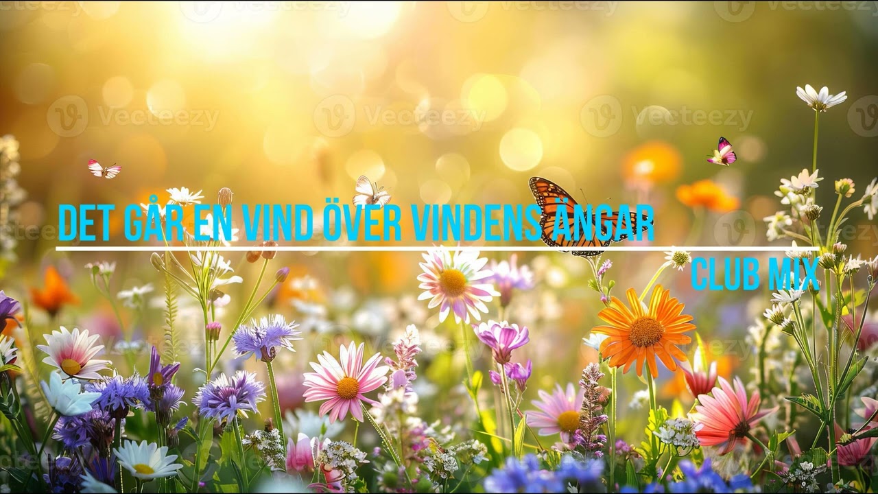 Det går en vind över vindens ängar club mix