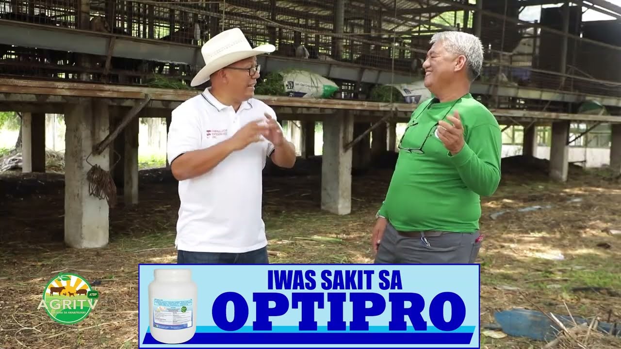 AGRITV Atbp:AGRIHAN TAYO w/ Charlie Cruz  by FEI   on Breeding Milking Goats June 24, 2023