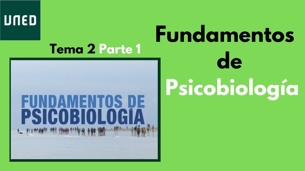 Las leyes de Mendel y la genética cualitativa paso a paso | Psicobiología Tema 2 Parte 1 UNED
