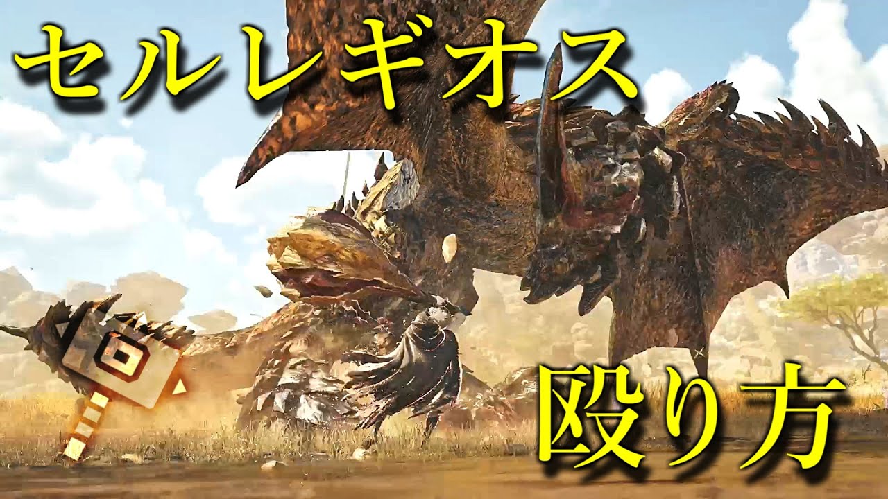 [MHWilds] セルレギオス　ハンマー　殴り方　解説 [モンスターハンター ワイルズ]