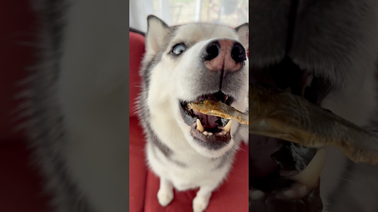 Birthday celebrations don’t end! ⁣⁣