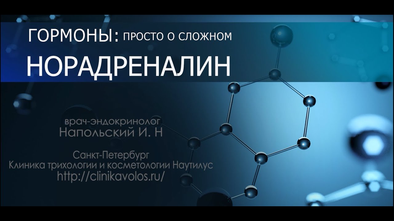 Норадреналин - гормон и нейромедиатор. Как его можно повысить и нужно ли это?