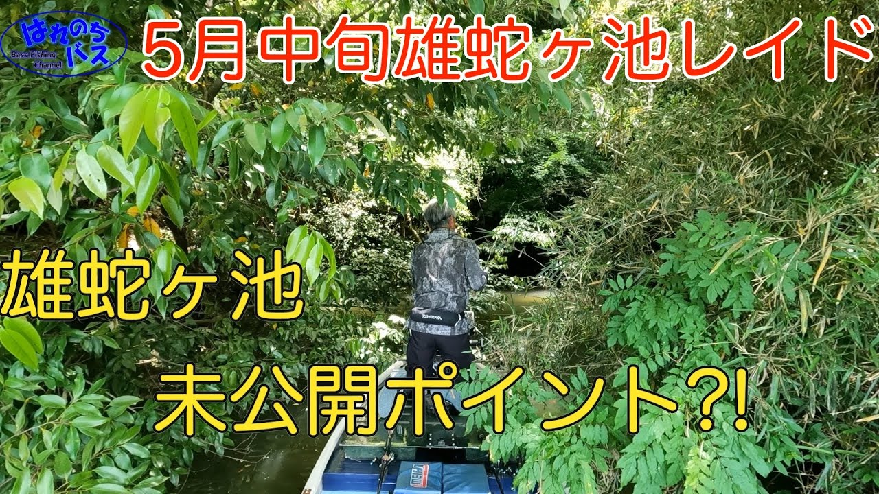 5月中旬雄蛇ヶ池レイド