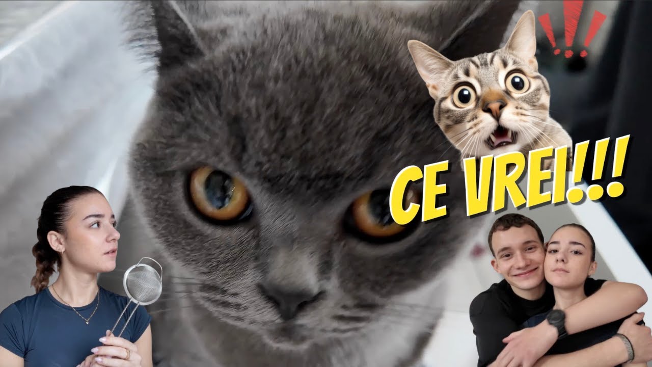 Ce ACTIVITATI fac eu in ziua mea LIBERA!