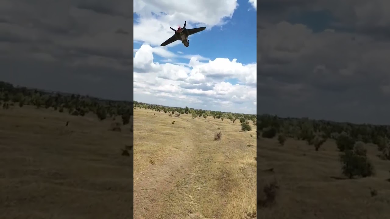 Atomrc Penguin 🐧 & Atomrc Dolphin 🐬 & 3d print fixedwing "Plak" race wingСамолётные догонялки 