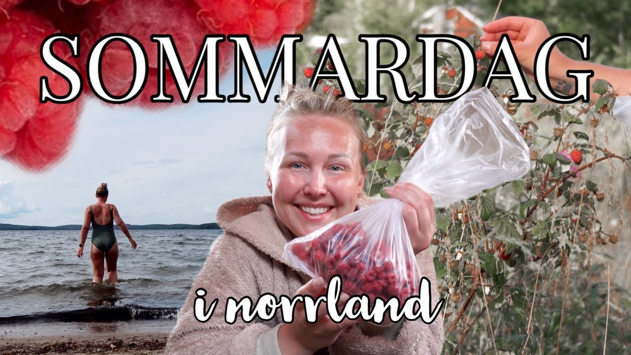 SOMMARDAG I NORRLAND | loppis, sommarbad & bärplock 🫐 vlog*
