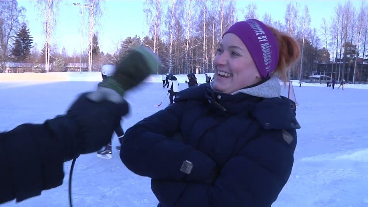 Kaukovainiolaiset