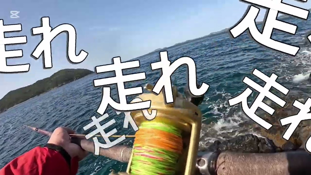 2026年2月25日
