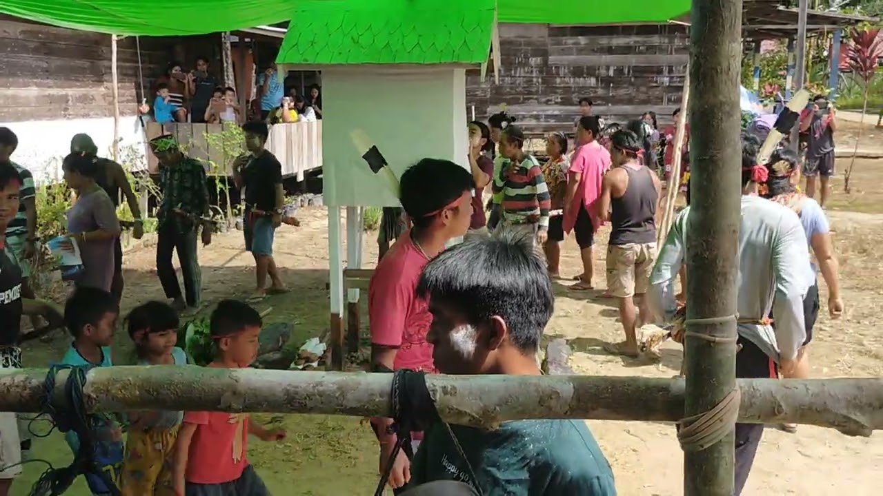 Ritual mendirikan Tajahan Bambang Bpk.Nesta Desa Tanjung Batik,22-01-2026.