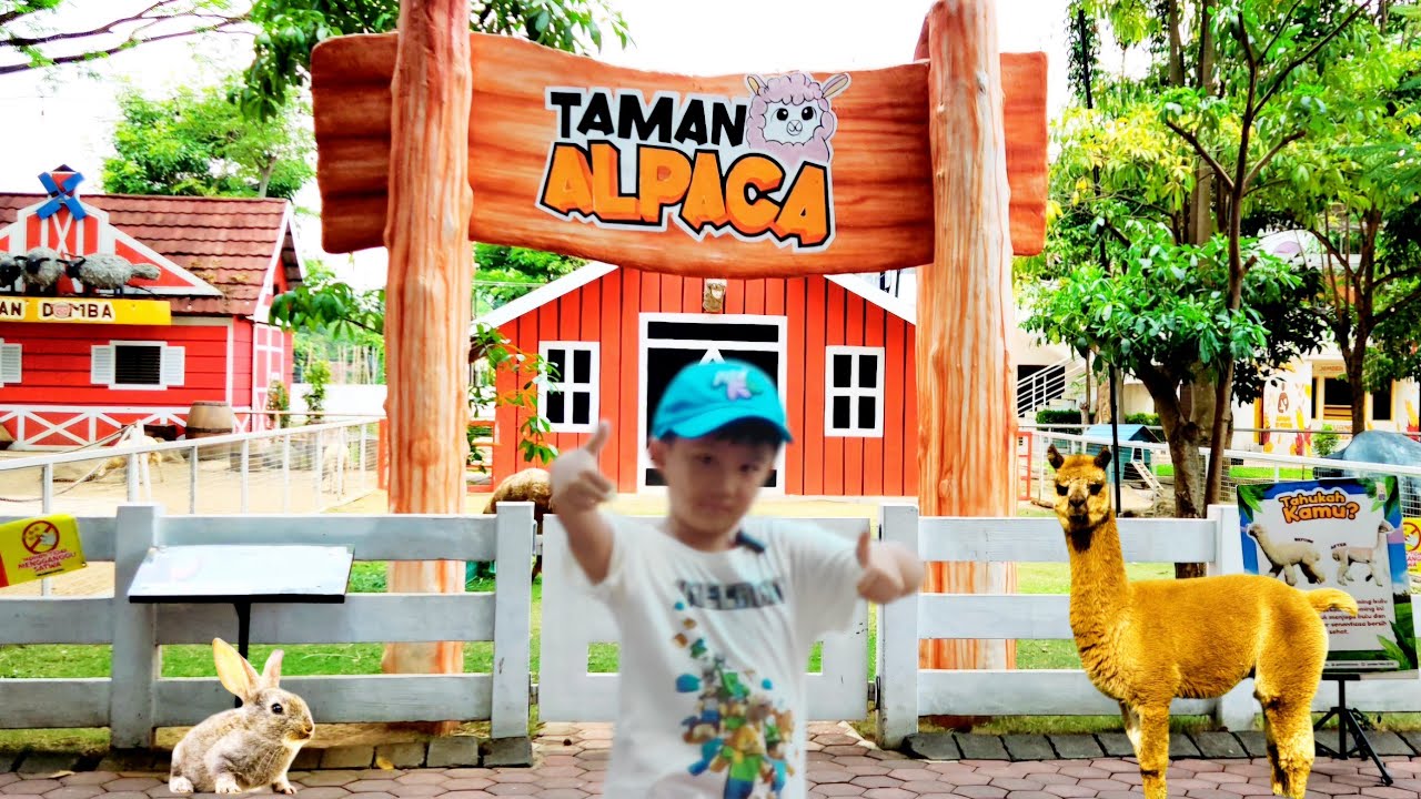 SERU❗️Raphael ke Mini Zoo || Ada Alpaca, Berang-Berang, Iguana, Rusa, Merak, Kasih Makan Kelinci Dll