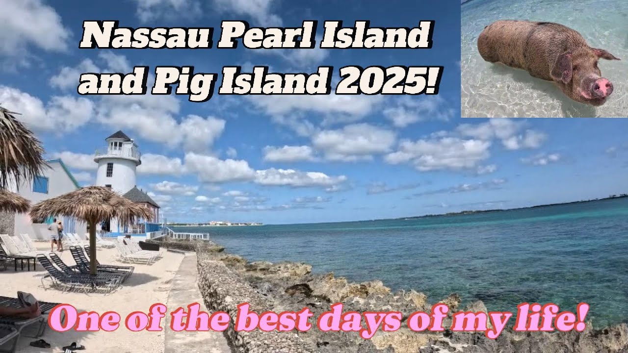Nassau Pearl Island and swimming with pigs at Pig Island! One of the best days of my life!