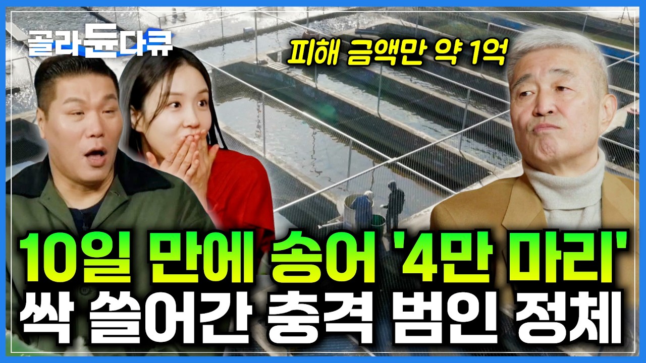먹어봤자 얼마나 먹겠나 했다. 열흘 동안 송어 4만 마리 먹어 치운 범인의 정체｜피해 금액만 8천만 원. 양식장을 초토화시킨 가마우지, 수달｜서장훈의 이웃집 백만장자｜#골라듄다큐