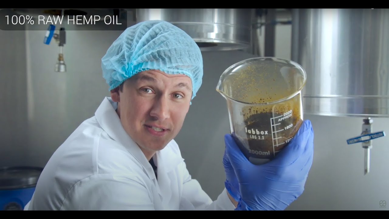 CBD Екстракт - как се прави?