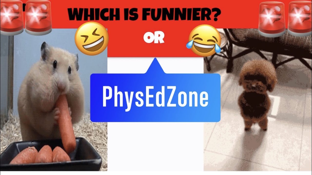 PhysEdZone: “Which Is Funnier” PE Workout | Brain Break