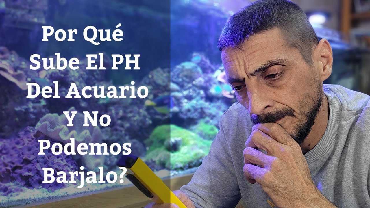 🔵 Por Qué Sube El PH Del Acuario Y No Podemos Barjalo?,PH Alto En Acuarios (Acuarios MB)