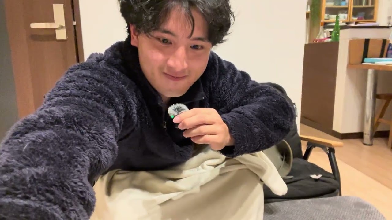 日本帰りました