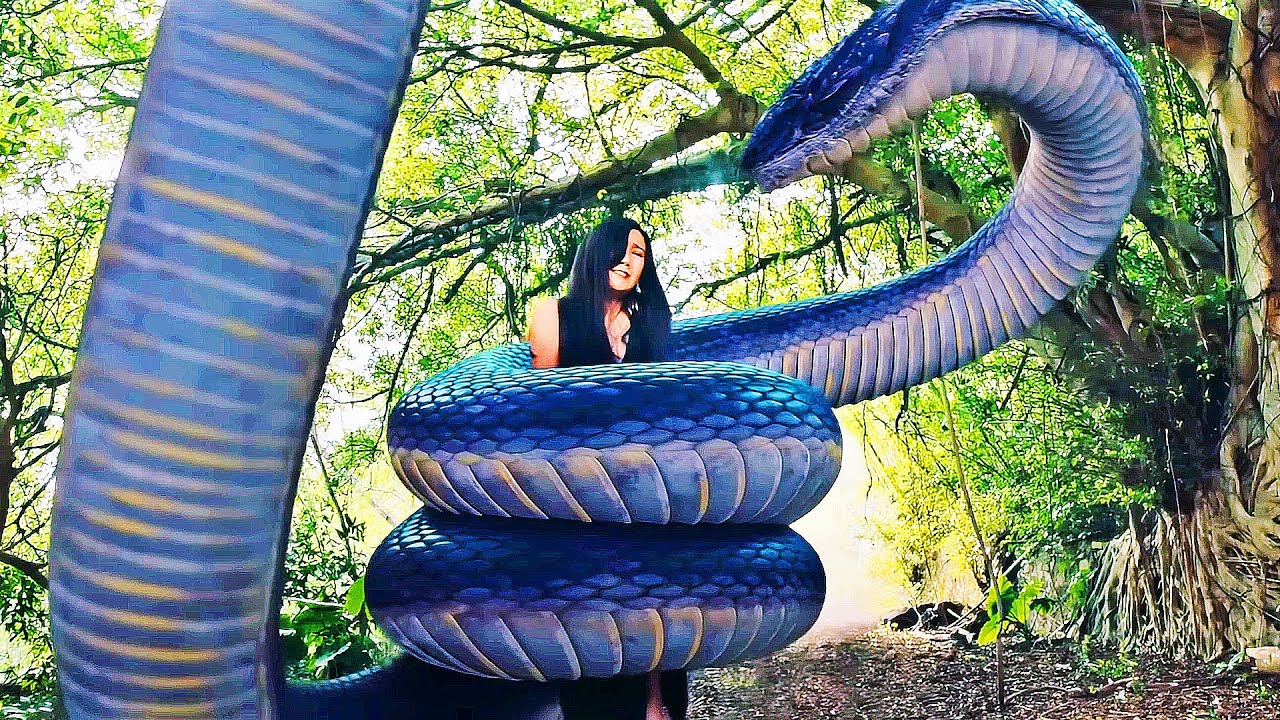 Giant Sea Creature Traps The Humans Onto An Island Filled By Monsters