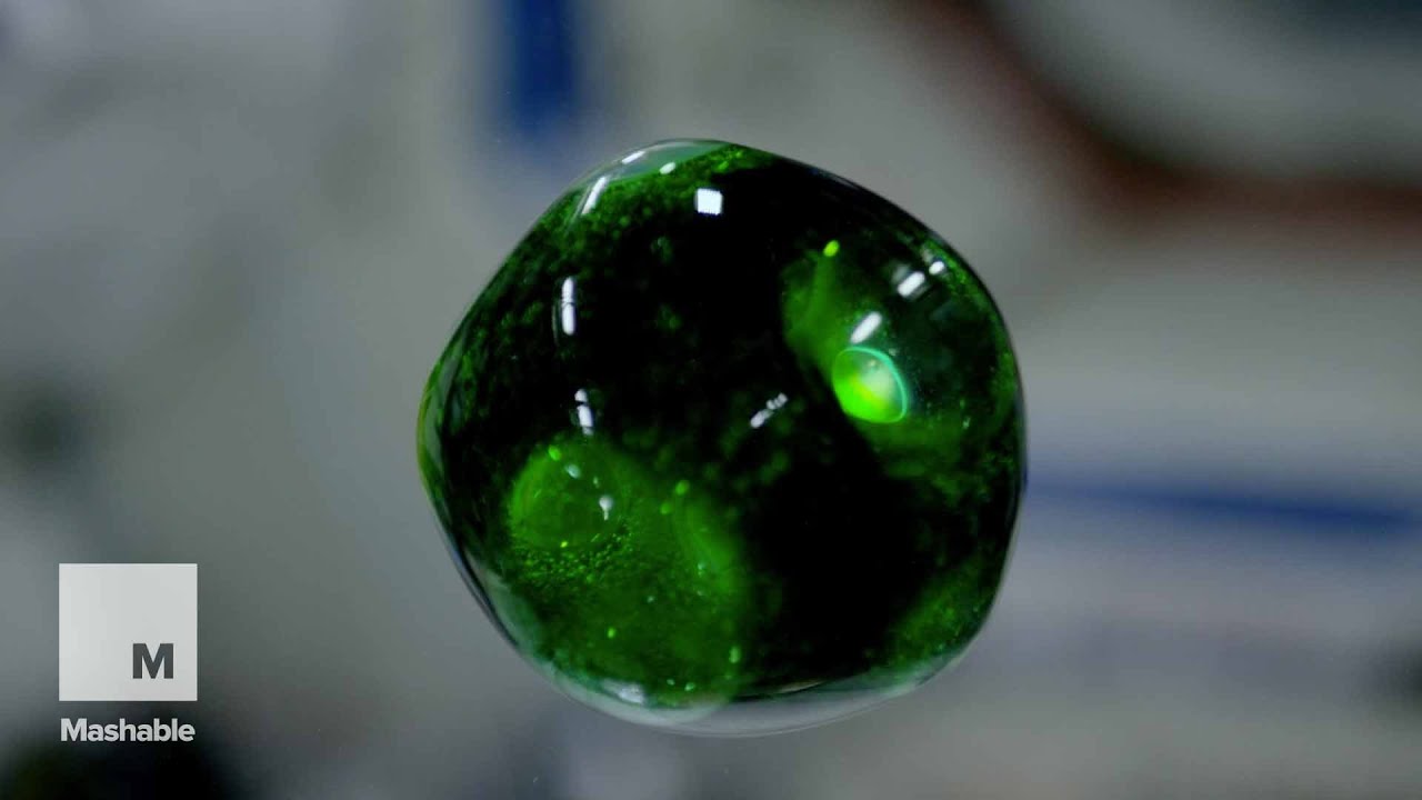 What Water Does in Space is Mesmerizing | Mashable News