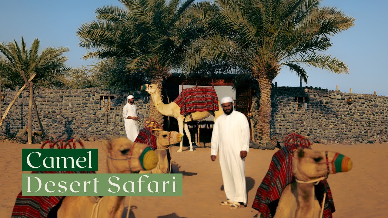 Camel Desert Safari | Platinum Heritage 2026