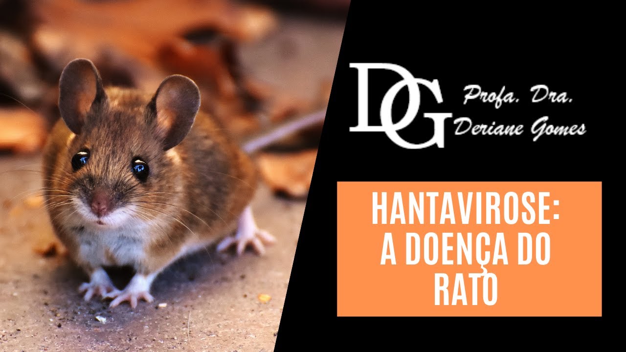 055. Hantavirose: A Doença do Rato