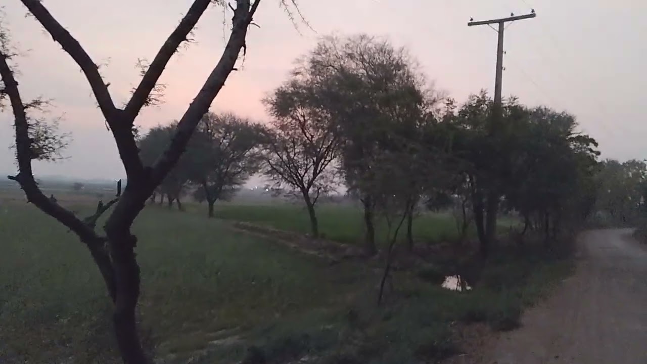FAJAR ki Namaz ke bad mere gaon ka mahol 😯 beautiful 😍 #vlog 