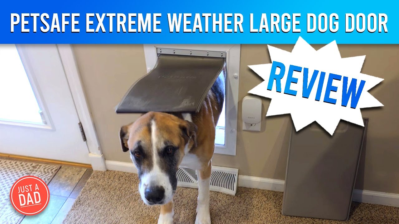 PetSafe Extreme Weather Aluminum Dog Door REVIEW Ms. Fiona will Show you How it Works