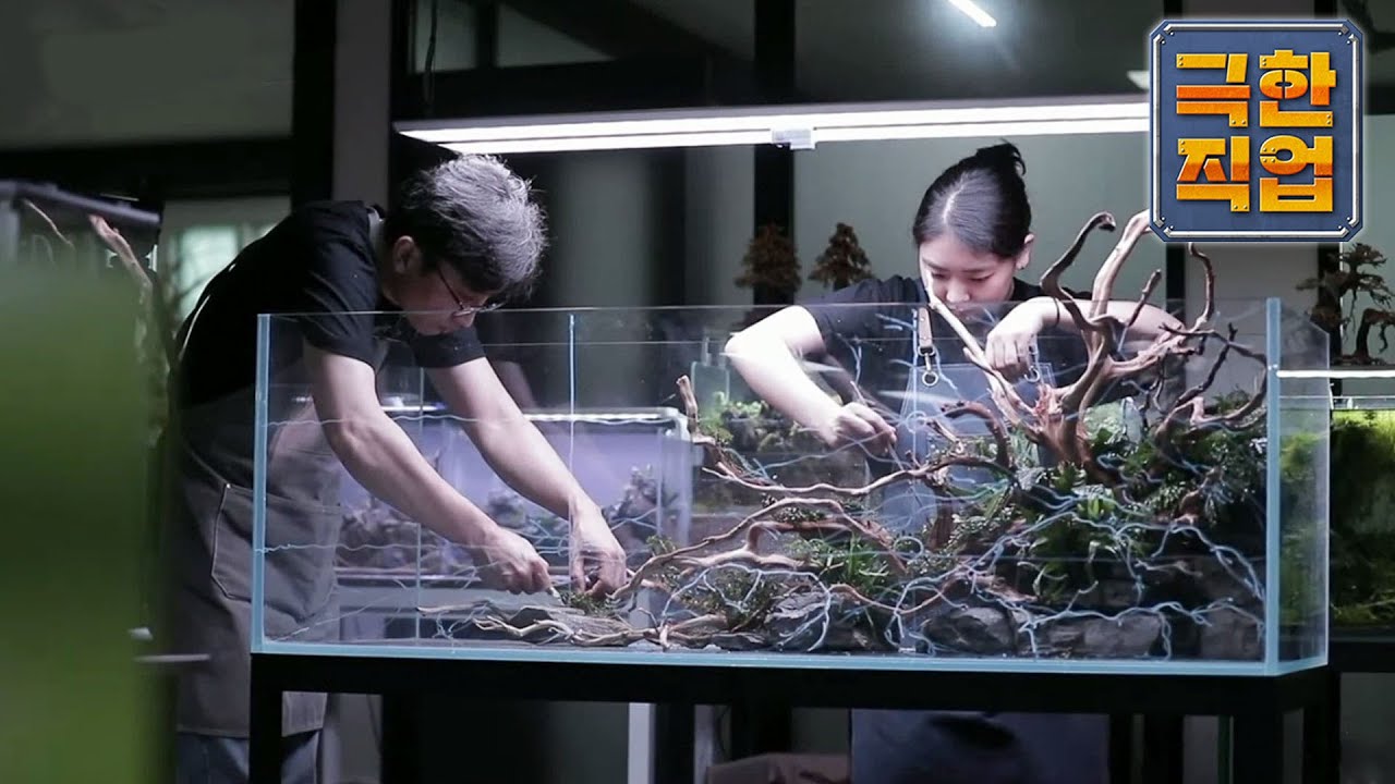 극한직업 - Extreme JOB_나만의 작은 바다 만들기- 수조조경_#003