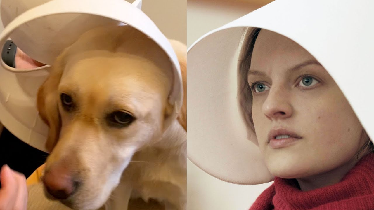 Mabel Gets Her Head Stuck in the Trash Can Lid... Again