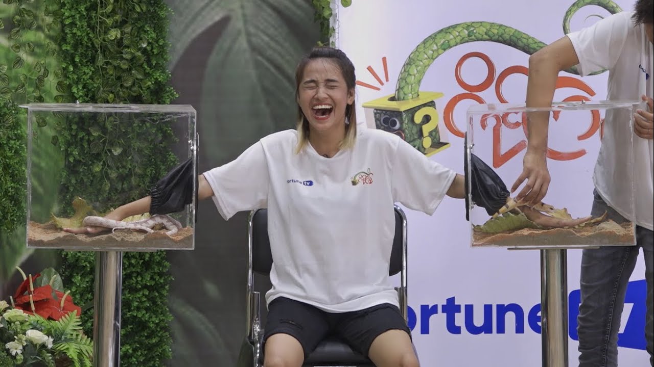ကိုင်ကြည့် - [ လူရွှင်တော် ဗေဒါ ]