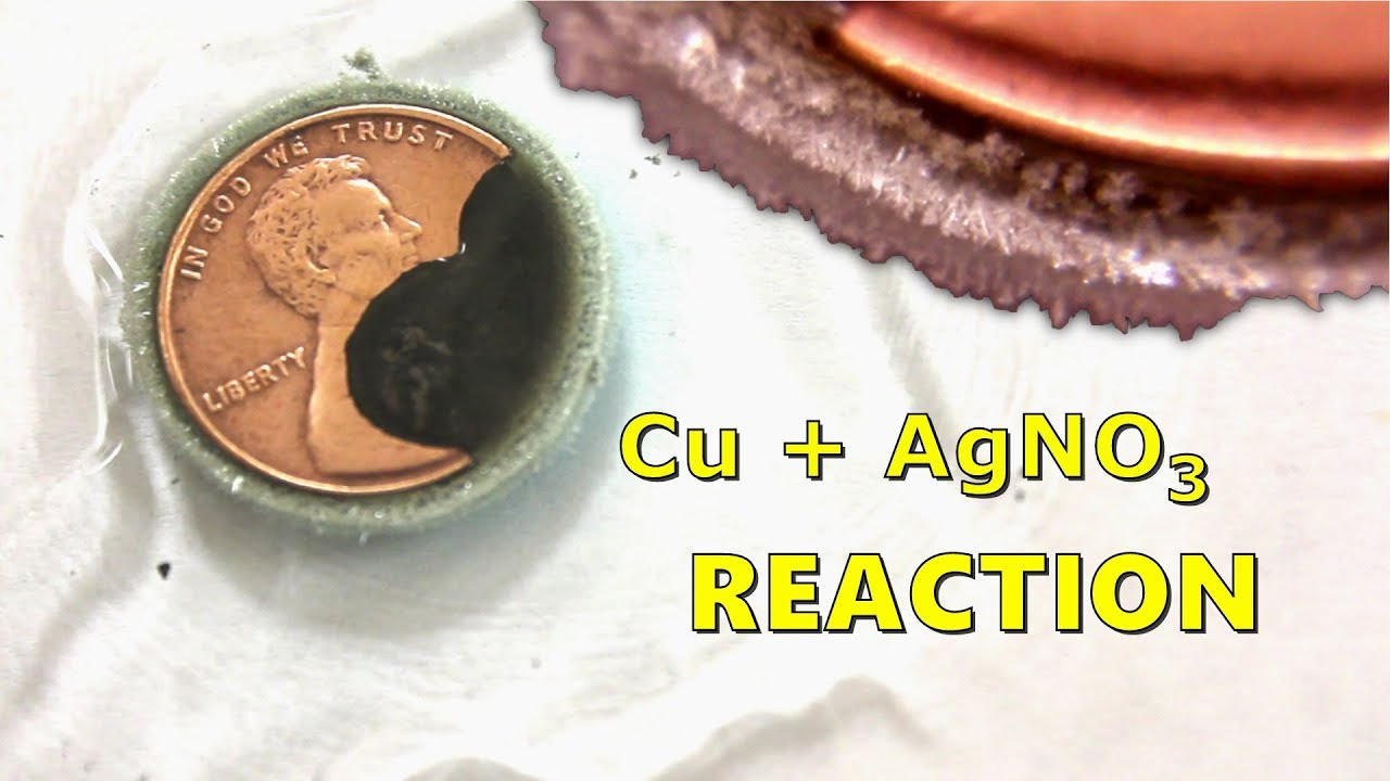 Copper Penny Reaction With Silver Nitrate (Cu + AgNO3)