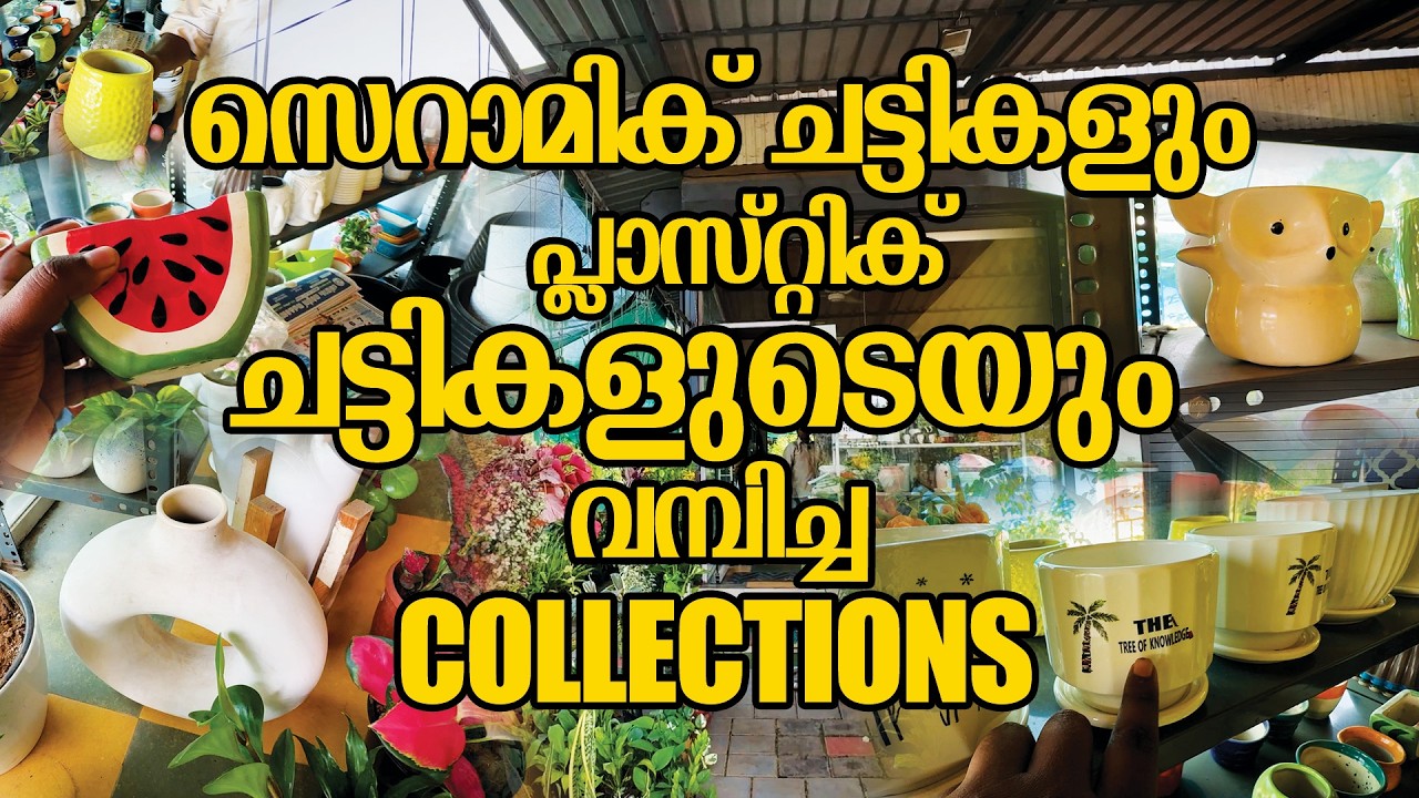 സെറാമിക് ചട്ടികളും പ്ലാസ്റ്റിക് ചട്ടികളുടെയും വമ്പിച്ച കളക്ഷൻസ് ഇവിടെ കിട്ടും #ceramicpots #pots