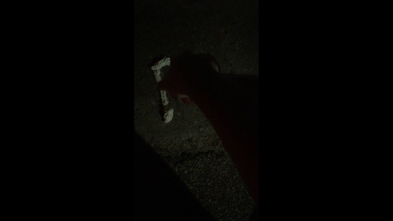 The Sad ending Of The Sacred Whip Cream EPISODE 3